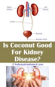 Kidney Cleanse For Stones Kidney Disease Symptoms Kidney Disease Recipes Kidney Disease Diet