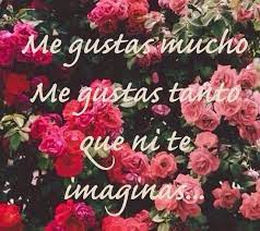 Codigo Fn Awnnnnn Banda Music Especial Arre Spanish Quotes Mexicans Be Like Love Quotes