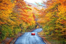 Maybe you would like to learn more about one of these? 10 Best Destinations To See Fall Foliage In 2020