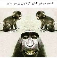 Desertrose ههههه Otaku Funny Memes Funny Faces Funny Dude