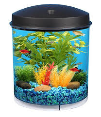 Kollercraft 2 Gallon 360 View Aquarium With Internal Filter And Led Lighting Tropical Fish Tanks Small Fish Tanks Aquarium Kit