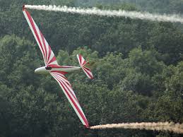 Dfs Habicht Acrobatic Glider Gliders Dfs Aerobatics