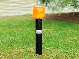 They can often get in the way of aircrafts taking off and landing as well as on roadways to motor vehicles. 3 Steps On How To Get Rid Of Canadian Geese 2021 Updated Canadian Goose Goose How To Get Rid