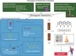 Parkinson S Disease Etiopathogenesis And Treatment Journal Of Neurology Neurosurgery Psychiatry