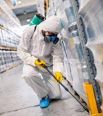 Call or purchase/schedule online today! Pest Control In Dubai Cockroach Control In Dubai Pest Control Treatment In Dubai Exterminator Dubai