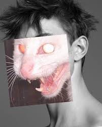 Schauen wir uns die einzelnen abschnitte, die der energiefluss im ökosystem durchläuft, mal genauer an. Pin De Blobby Blobbfisch En My Hobby Is Kiss Kill Arte De Collage Arte De Ilusion Arte Divertido