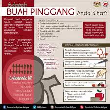 Manusia membutuhkan makan untuk bertahan hidup. Sayang Buah Pinggang Anda Jom Cuci Rcc Stevia Nogori Facebook