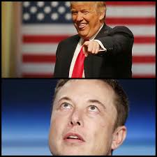 Liz Cheney/Adam Kinzinger Against Trump