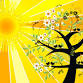 WARM Vinyasa event image