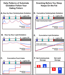 However, increased production of processed foods, rapid urbanization and changing lifestyles have led to a shift in dietary patterns. Eating Breakfast And Avoiding Late Evening Snacking Sustains Lipid Oxidation
