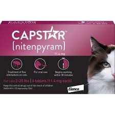 Check spelling or type a new query. Best Flea Medicine For Cats In 2021