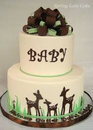 Baby Hunting Theme Don T Really Wanna Do A Complete Hunting Theme For Shower Ide Baby Shower Cakes For Boys Shower Cakes Baby Shower Cakes