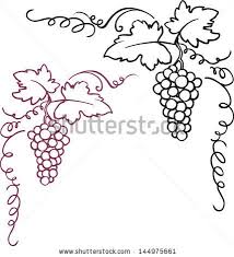 Black And White Vines Vector 