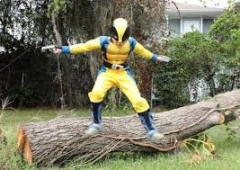 We did not find results for: Halloween Costumes X Men Saving You Dinero