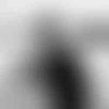 Ryemarkable Kari Englehardt