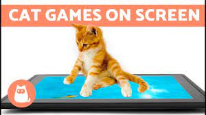 Google has many special features to help you find exactly what you're looking for. Entertainment Video For Cats To Watch Cat Games On Screen Youtube