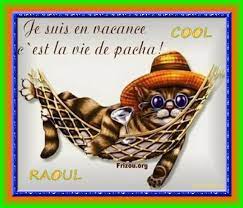 COOL RAOUL LES VACANCES