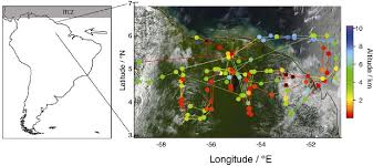 Your longitude represents the angle east or west between your location, the center of the earth, and the prime meridian (fig. Figure 1 From Halogenated Organic Species Over The Tropical Rainforest Semantic Scholar
