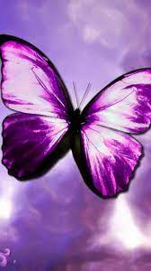 We did not find results for: Purple Butterfly Wallpaper For Android 2021 Android Wallpapers
