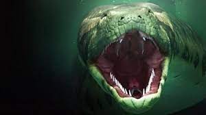 Titanoboa The World S Largest Snake World S Largest Snake Largest Snake Prehistoric Animals