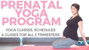 By sean keenan and richard fausset 1; Prenatal Yoga Program For All 3 Trimesters Sarah Beth Yoga Youtube