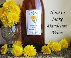 Dandelion Wine Recipe The Mistake You Don T Want To Make Recipe Dandelion Wine Wine Recipes Homemade Wine