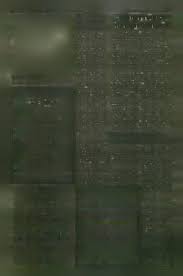 T h e O b se r v e r