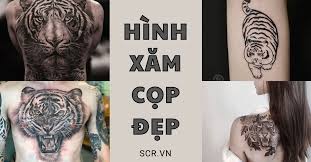 Có đúng là bạn đang muốn tìm kiếm nội dung về hình nền con hổ có phải không? Hinh XÄƒm Cá»p Ä'áº¹p Cho Nam Ná»¯ Tattoo Con Cá»p Bit LÆ°ng