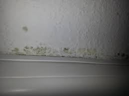 Dann ist vielleicht die luftfeuchtigkeit in ihrer wohnung einfach zu hoch. Schimmel Wohnung Nasse Fenster Tur Vollverglasung Hohe Luftfeuchtigkeit Silberfische Feuchtigkeit