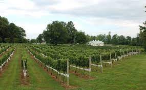 Order online tickets tickets see availability directions. Socially Distant Day Trips Winery And Vineyards Around Anne Arundel County Capital Gazette Maryland Wineries Association