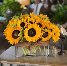 Bunga matahari merupakan bunga yang cukup populer. 10 Fakta Menarik Tentang Bunga Matahari Tws Florist