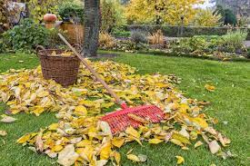 We did not find results for: Fall Leaves For Your Garden Kellogg Garden Organics