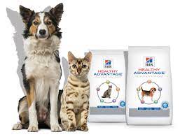 We will strive to exceed the expectations of our clients and our staff by focusing on high quality medicine, attention to detail, and ultimate patient comfort. Mercy Pet Clinic Houston S Low Cost Veterinary Clinic Spay Neuter Vaccines More