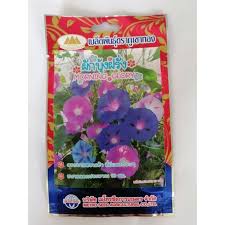 Sebab seri pagi atau morning glory dalam bahasa inggeris itu adalah nama yang diberi kepada 1000 spesis tumbuhan berbunga dari keluarga convolvulaceae. Biji Benih Bunga Seri Pagi Siam Tropika Morning Glory Thailand Seeds Shopee Malaysia