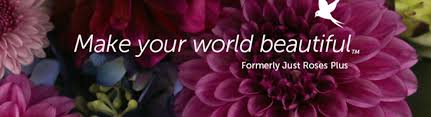 Maybe you would like to learn more about one of these? Rose Blossom Spokane Valley Wa Alignable