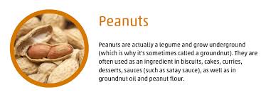 Allergen control in the food industry. 14 Major Allergens Food Labelling Laws Anaphylaxis Campaign