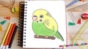 How To Draw A Budgie Parakeet My How To Draw How to draw a bird | step by step tutorial podrobnee. how to draw a budgie parakeet my how
