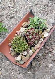 Basteln Mit Baumaterialien Die Wir Kreativ Im Garten Einsetzen Konnen Basteln Mit Baumaterialien Die Wi In 2020 Diy Gartendekoration Vertikaler Garten Diy Hauswurz