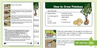Don't worry too much about the numbers. How To Grow Potatoes Instructions