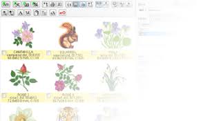 Embird Embroidery Digitizing And Cross Stitch Software For Windows Cross Stitch Software Embroidery Software Machine Embroidery