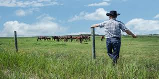 Well, that and a few other things. America S Largest Landowners Jeff Bezos And John Malone Make The List