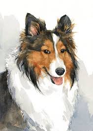 Hond Aquarel Huisdier Portret 5 X 7 Realistisch Schilderij Witte Achtergrond Honden Schilderijen Aquarel Kat En Honden Portretten