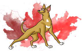 Some of our members provide only ground transportation to relocate your pet, while other members provide both air and ground transportation services. Private Pet Ground Transport En Route Pet Transportation Cross Country