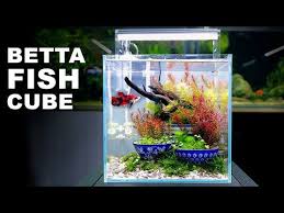 Pin On Aquariums