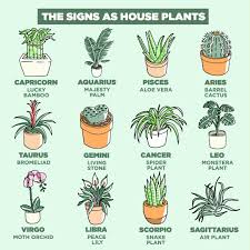 Cancer facts, symbols, and associations: The Best Plant For You According To Your Zodiac Sign
