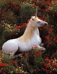 Unicorn In The Flowers Hayvanlar Guzel Yaratiklar Atlar