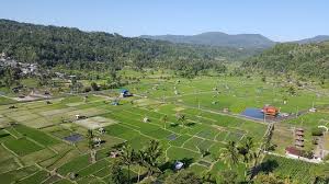 Pesan tiket masuk waterbom bali online. Kaisanti Garden Tomohon 2021 All You Need To Know Before You Go Tours Tickets With Photos Tripadvisor