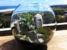 Fancy Design Blog Nz Design Blog Awesome Design From Nz The World Mini Eco Systems Cooler Than T Garden Terrarium Terrarium Succulents In Containers
