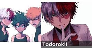 Bnha Todoroki Midoriya Or Bakugo Anime Quizzes Quotev Quizzes Making People Happy