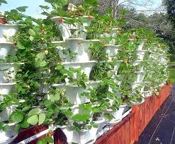 Check spelling or type a new query. 14 Diy Hydroponic Vertical Garden Ideas To Grow Food